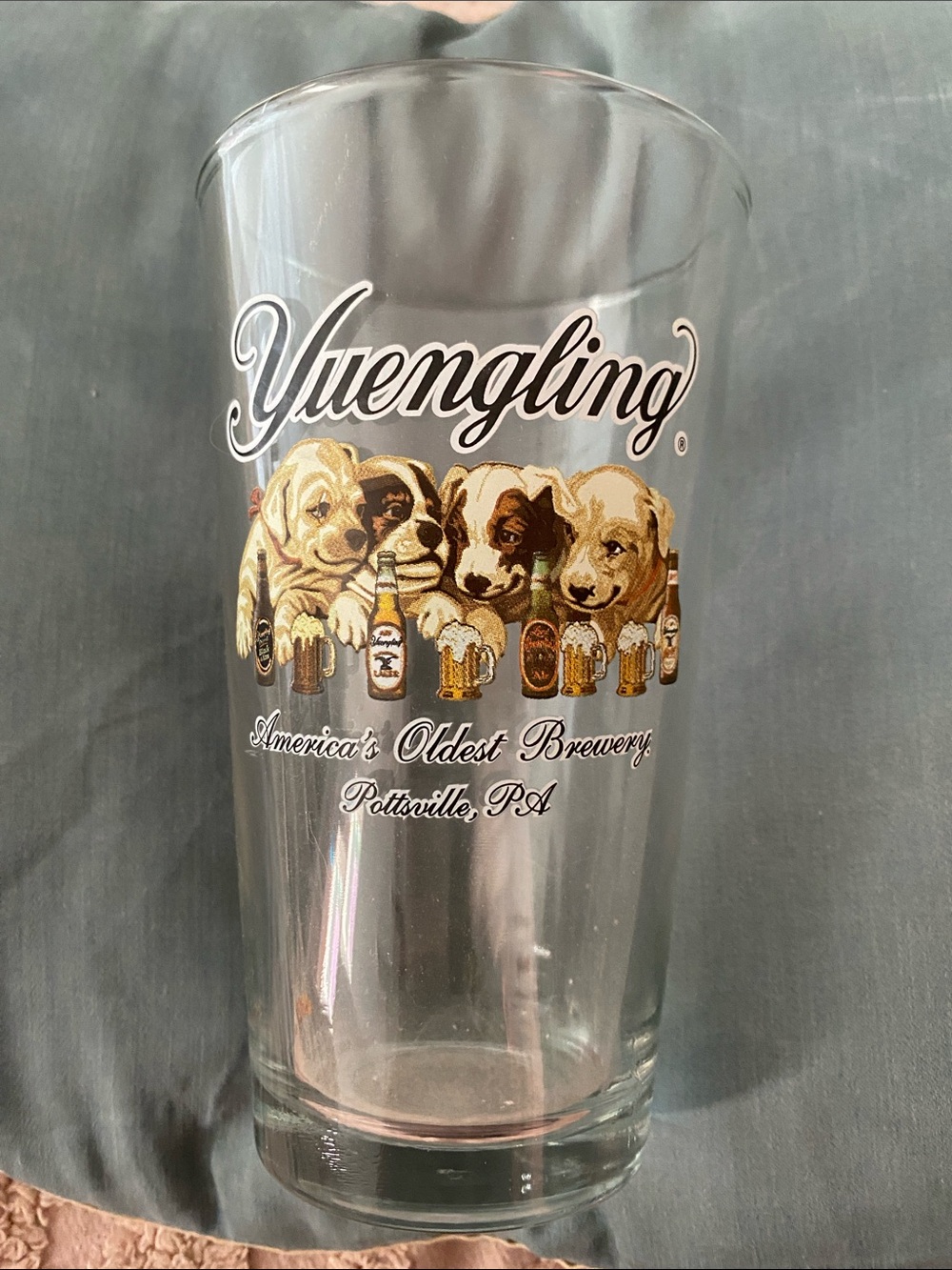 Yuengling Clear Puppy Logo Pint Glass - Clear
